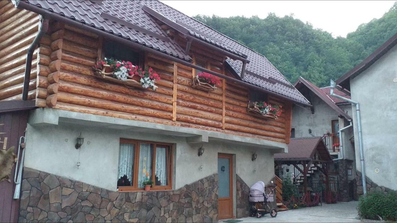 Pensiunea Anita Vişeu de Sus Exterior foto